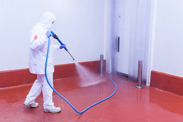 Best Residential Pressure Washing in Wausau, WI